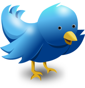 Blue twitter bird here to help you get to grips with social media marketing for your small business
