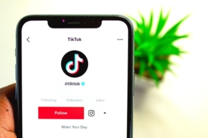 photo of a phone with the tiktok app ready to advertise the plant in the sunlit room visible in the background