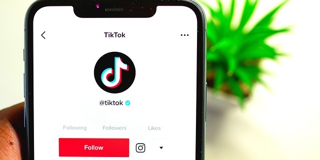 photo of a phone with the tiktok app ready to advertise the plant in the sunlit room visible in the background